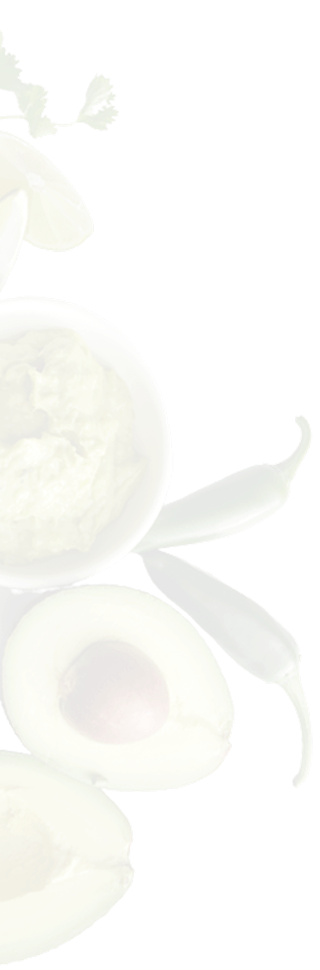 THE SALTY PLUM STORE