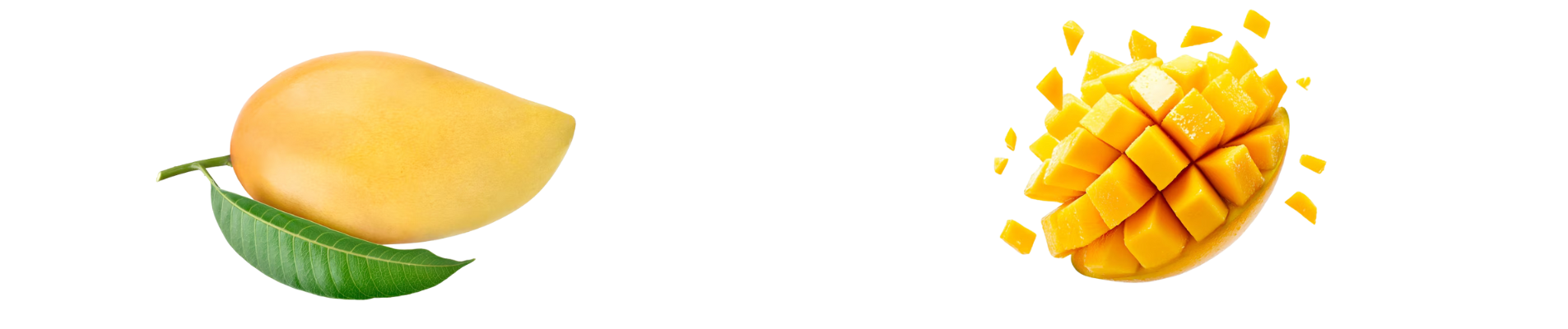 Banner collection general