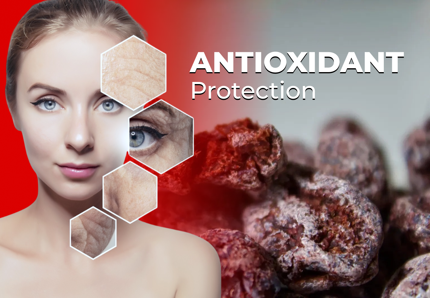  Antioxidant Protection