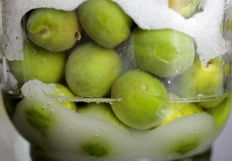 Layer plums with Salt