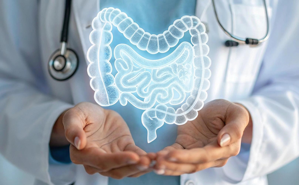 Supports Digestive Health