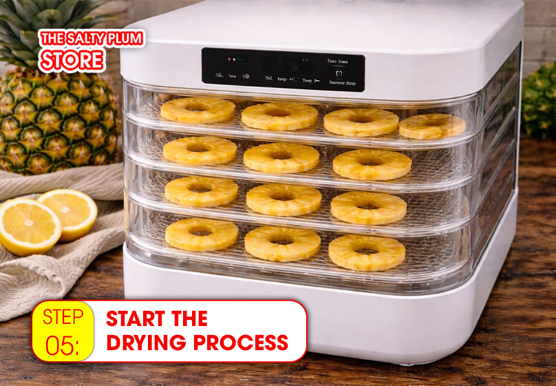 Start the Drying Process