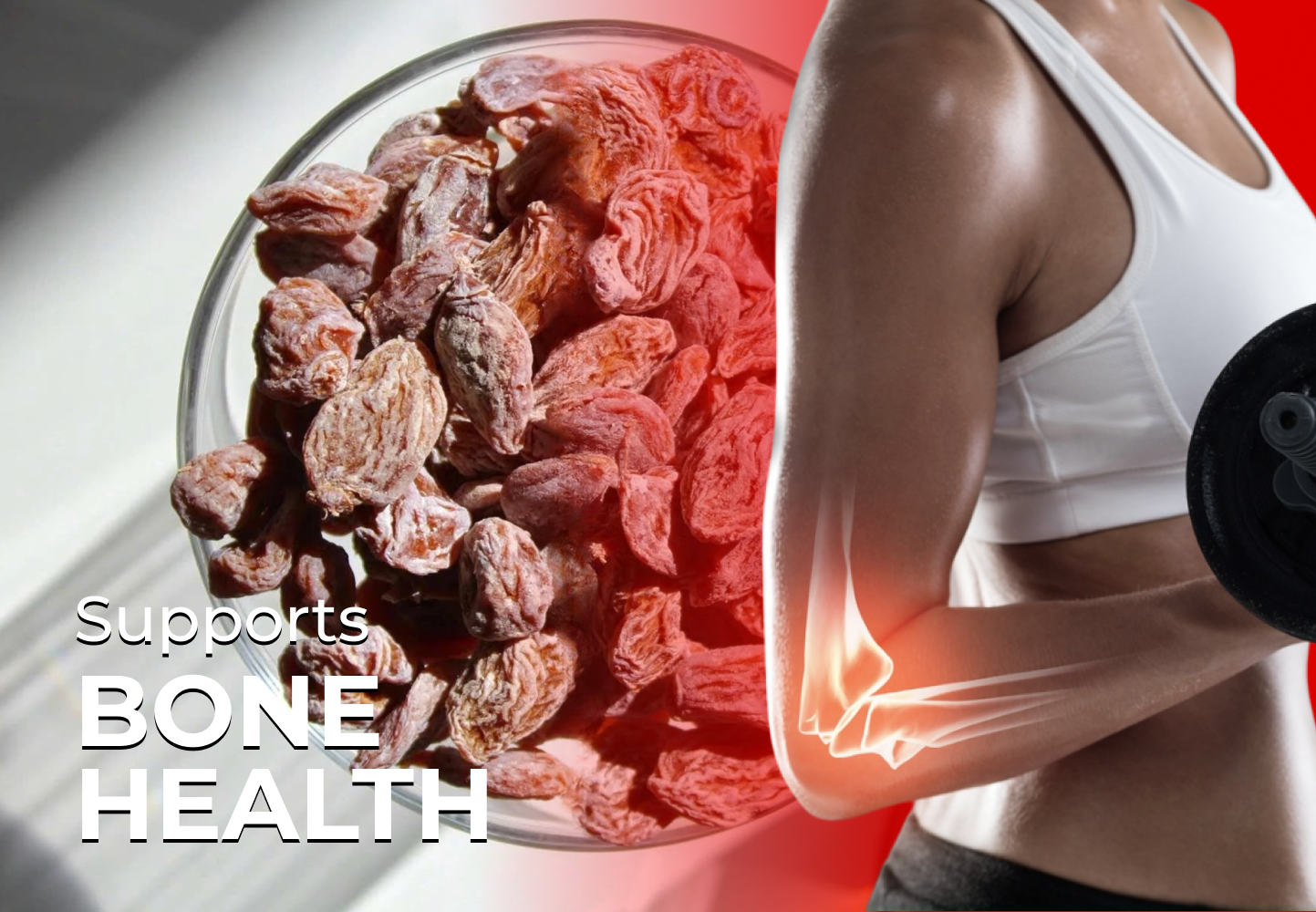 Supports Bone Health