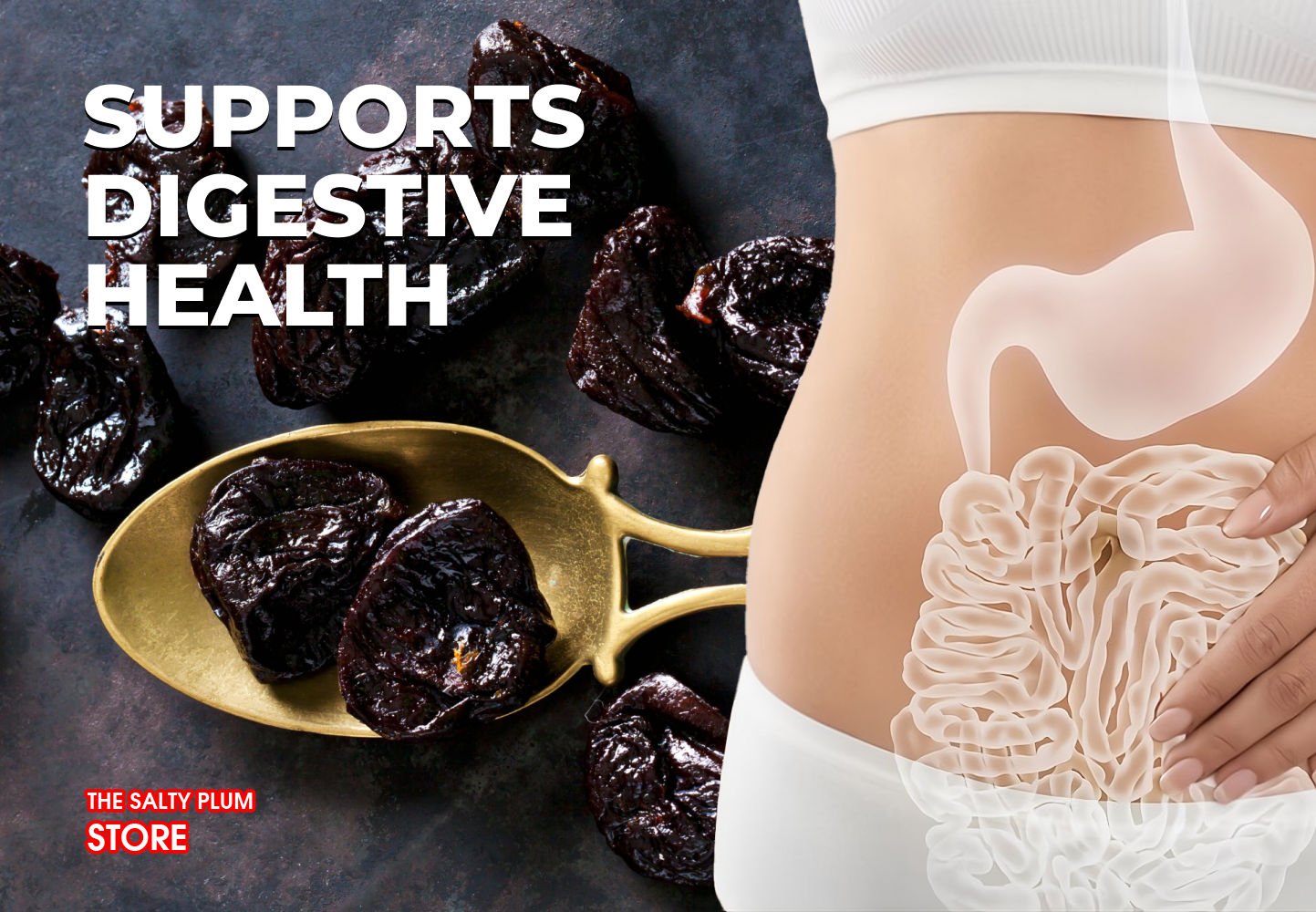 Supports Digestive Health