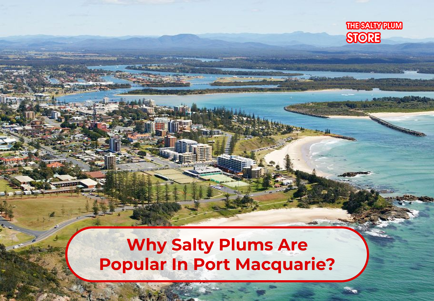Why Salty Plums Are Popular in Port Macquarie