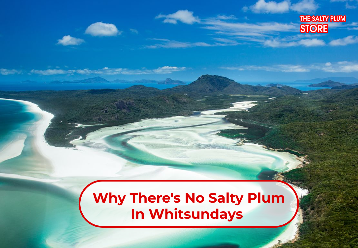 Why There's No Salty Plum in Whitsundays