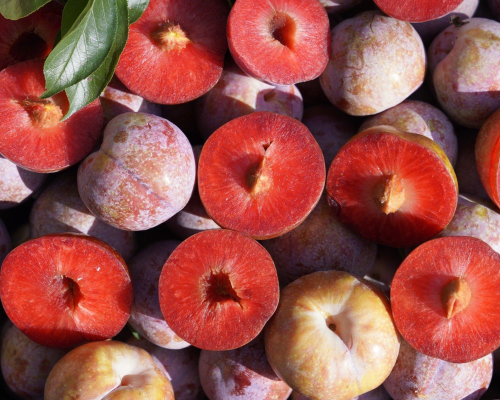 Select plums carefully